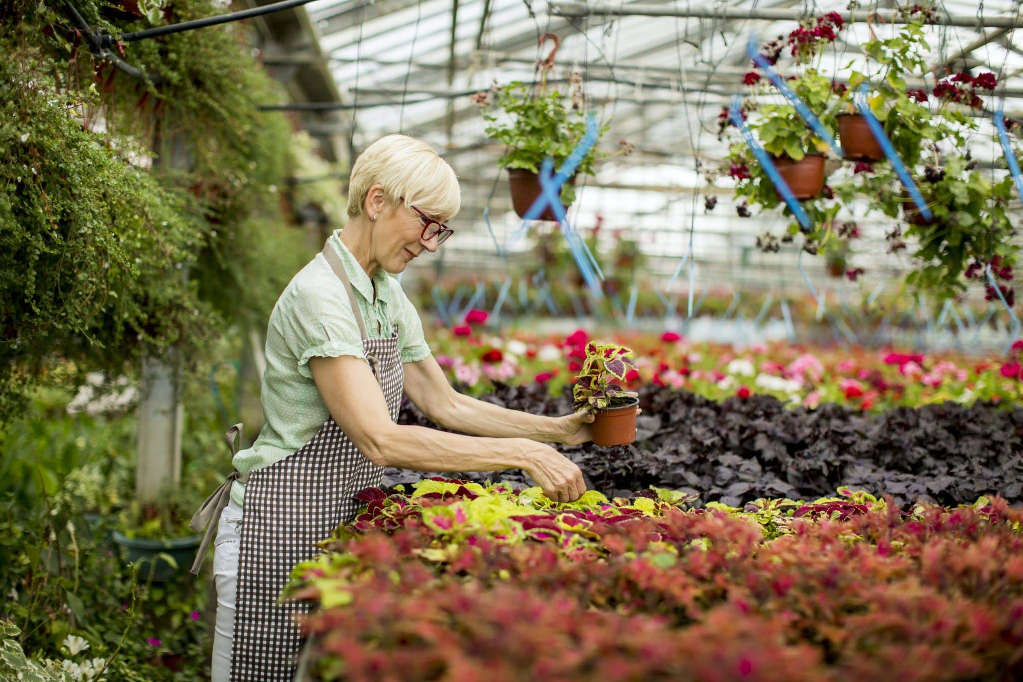 Comment créer un jardin fleuri tout au long de l’année ?